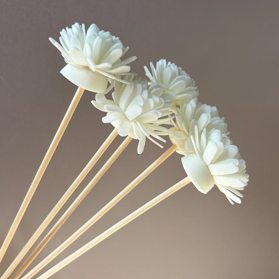 แท่งกระจายกลิ่นหอม 10 ชิ้น และ - Aromatherapy Diffuser บทวิจารณ์และราคา